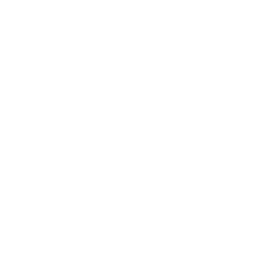 Aestheticum